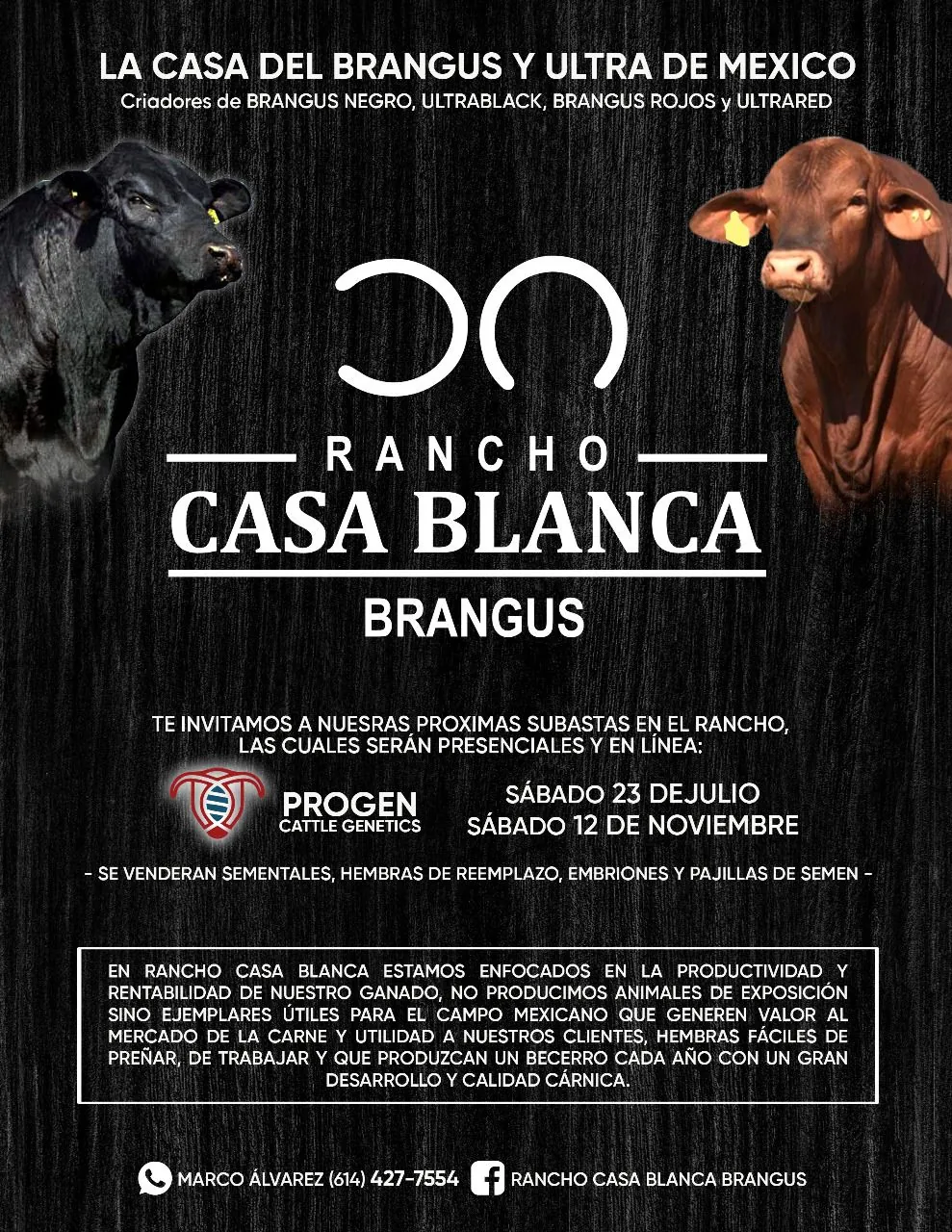 Próximas Subastas Casa Blanca